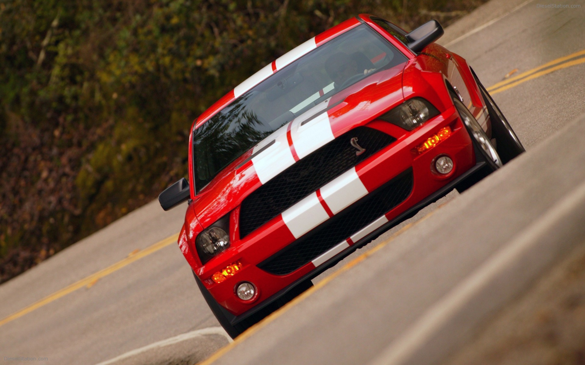 Ford Shelby Cobra GT500
